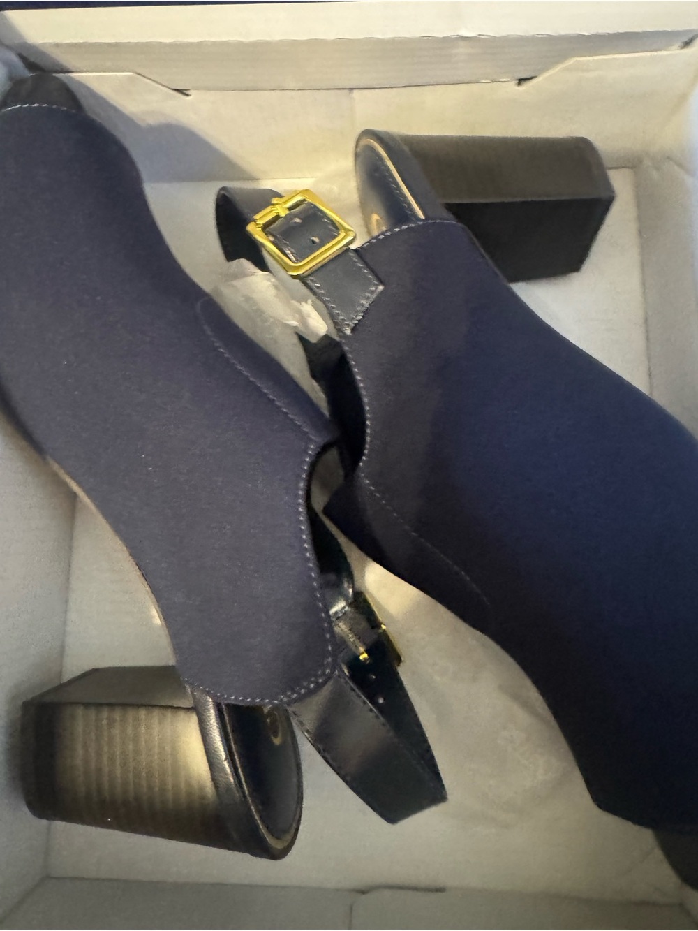Champs Navy Blue Block Heel Slingback Pumps with Gold Buckle